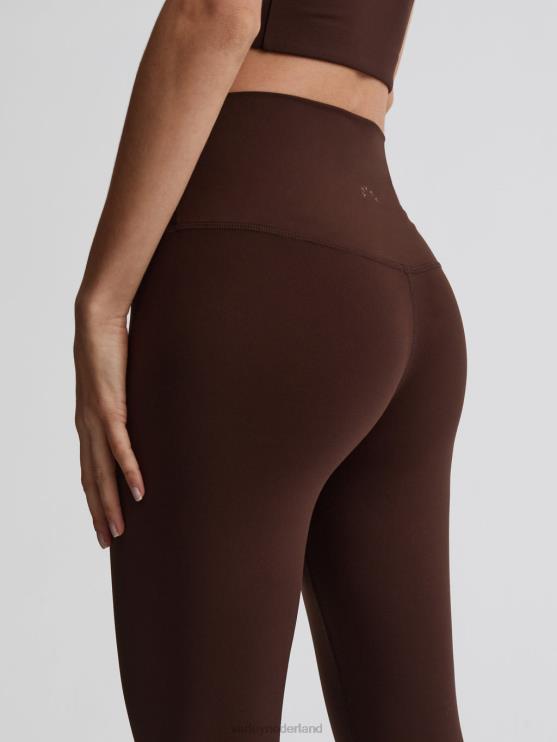 BD04L294 koffieboon altijd hoge legging 25